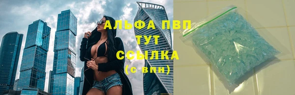 гашик Алексин