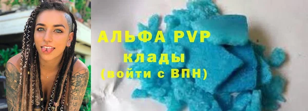 гашик Алексин