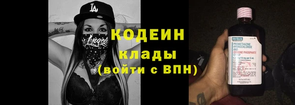 гашик Алексин